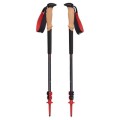 Kije Trekkingowe Black Diamond Pursuit Trekking Poles - Charcoal-Octane - 2171206