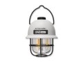 FLASHLIGHT LAMP SERIES/100 LUMENS LR40 WHITE NITECORE - 1930088