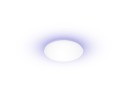 Inteligentna lampa sufitowa Yeelight LightC2201C235 - 2327899