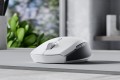 RAZER Pro Click Mini - mouse - 2330489
