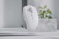 RAZER Pro Click Mini - mouse - 2330488