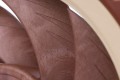 Noctua NF A12x25 5V PWM Obudowa komputera Wentylator 12 cm Beżowy, Czerwony - 1015464