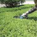 Nożyce akumulatorowe do trawy MAKITA DUM604ZX (WYPRZEDAŻ) - 2342054