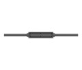 MEETUP 10M MIC CABLE/GRAPHITE WW - 2343497