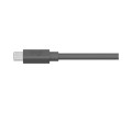 MEETUP 10M MIC CABLE/GRAPHITE WW - 2343498