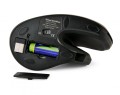 MOUSE USB OPTICAL WRL BLACK/ERGONOMIC MUSW-ERGO-03 GEMBIRD - 2343533