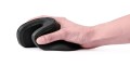 MOUSE USB OPTICAL WRL BLACK/ERGONOMIC MUSW-ERGO-03 GEMBIRD - 2343535