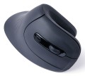 MOUSE USB OPTICAL WRL BLACK/ERGONOMIC MUSW-ERGO-03 GEMBIRD - 2343532