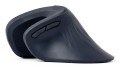 MOUSE USB OPTICAL WRL BLACK/ERGONOMIC MUSW-ERGO-03 GEMBIRD - 2343529