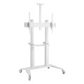 Stojak mobilny TV 70-120" do 140kg regulowany 2 półki - 2346551