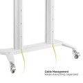 Stojak mobilny TV 70-120" do 140kg regulowany 2 półki - 2346562