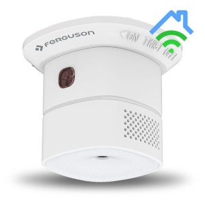 Czujnik czadu Ferguson FS2CO