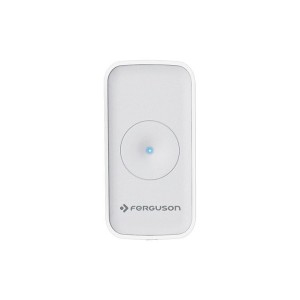 Czujnik wycieków i zalania Ferguson FS1WL