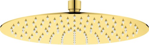 Głowica prysznicowa okrągła - 250 mm - 2329133
