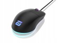 Endgame Gear XM1 RGB myszka Gaming Po prawej stronie USB Typu-A Optyczny 16000 DPI - 2350643