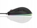 Endgame Gear XM1 RGB myszka Gaming Po prawej stronie USB Typu-A Optyczny 16000 DPI - 2350639