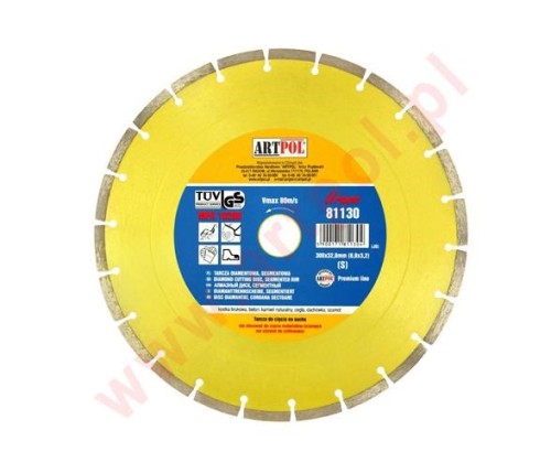TARCZA D.300SEG-AR 32/25,4/22,2mm - 2153120
