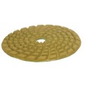 MAKITA TARCZA DIAMENTOWA DO SZLIF. 100mm(NA MOKRO)WYKAŃCZ. KAMIEŃ / WYKAŃCZAJĄCA - 2152910