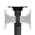 Neomounts DS70-250BL2 uchwyt / stojak do monitorów 81,3 cm (32") Biurko Czarny - 2360379