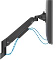 Neomounts DS70-250BL2 uchwyt / stojak do monitorów 81,3 cm (32") Biurko Czarny - 2360372