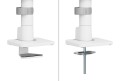 Neomounts DS65S-950WH2 uchwyt / stojak do monitorów 86,4 cm (34") Biurko Biały - 2360727
