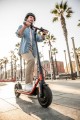Segway-hulajnoga elektryczna D38E (WYPRZEDAŻ) - 2323118