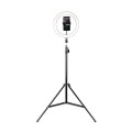 Tripod Havit ST7012 Pro z pierścieniem świetlnym - 2303170