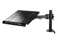 Uchwyt biurkowy do laptopa NEWSTAR Neomounts NOTEBOOK-D100 10-22" (25-56cm) - 1948585