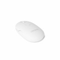 Bluetooth Mouse DESKTOP - 2207466