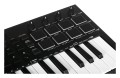 M-AUDIO Oxygen PRO MINI - Klawiatura SterujÄ…ca - 2339304
