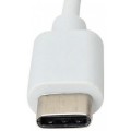 Techly IADAP USB31-ETGIGA karta sieciowa Ethernet 1000 Mbit/s - 1330528