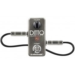 TC Electronic Ditto Looper - Looper - 2053349