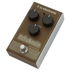 TC Electronic Echobrain Analog Delay Efekt typu delay analogowy - 2053381