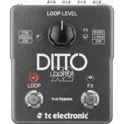TC Electronic Ditto X2 Looper Looper - 2053370