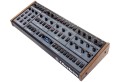 Oberheim OB-X8 Desktop - polifoniczny syntezator analogowy - 2128338
