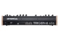 Sequential Trigon 6 Desktop - polifoniczny syntezator analogowy - 2128354