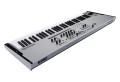 Korg WAVESTATE SE PLATINUM Limited Edition - Syntezator - 2275094