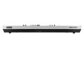 Korg WAVESTATE SE PLATINUM Limited Edition - Syntezator - 2275098