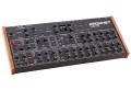 Sequential Prophet Rev2 Desktop 16-voice - polifoniczny syntezator analogowy - 2128356