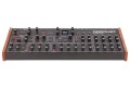 Sequential Prophet Rev2 Desktop 16-voice - polifoniczny syntezator analogowy - 2128358