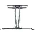 Gembird WM-80STR-01 Regulowany uchwyt do telewizora (obrót i pochylenie), 40"- 80'' (50 kg) - 2413292