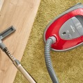 ODKURZACZ ZVC 261 Tadek 800W 2,5L - 2416635