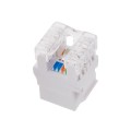 Q-LANTEC Moduł keystone RJ45 UTP kat.5e - 2428402