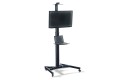 Stojak mobilny pojedynczy z półką DIGITUS 1xLCD max. 70" max. 50kg pivot - 2238806