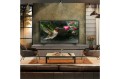 Telewizor LG OLED65B46LA OLED EVO 65'' 4K Ultra HD 120Hz WebOS 24 Dolby Atmos Czarny - 2412939