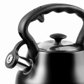 PROMIS CZAJNIK 3,0 L, ANDREA, CZARNY MATOWY,CZARNA - 2425385
