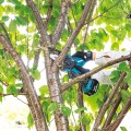 Piła łańcuhowa 18V DUC101Z01 MAKITA - 2439268