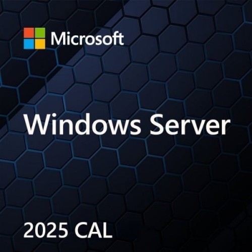 Microsoft Windows Svr CAL 2025 PL 5Clt User CAL OEM - 2447500