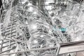 Zmywarka do zabudowy GORENJE GV642E90 - 2451988