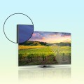 TV SET LCD 55" QLED 4K/55QG5C14 THOMSON - 2466460